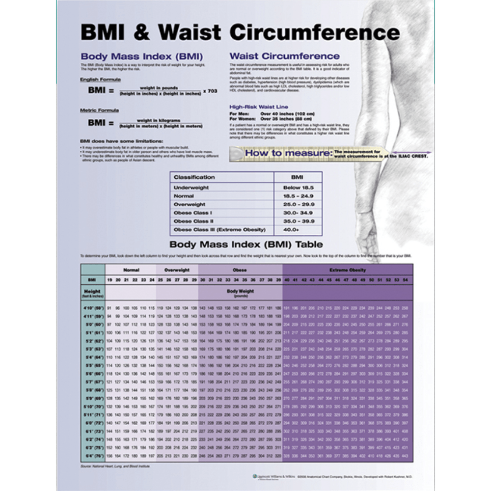 Anatomical Chart Company Anatomical Charts BMI and Waist Circumference