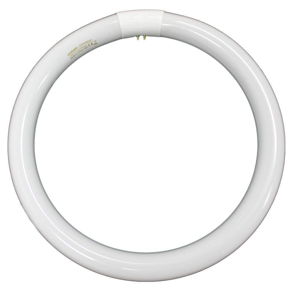 Dalcross X-Ray Viewer Globe