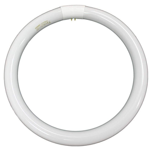 Dalcross X-Ray Viewer Globe