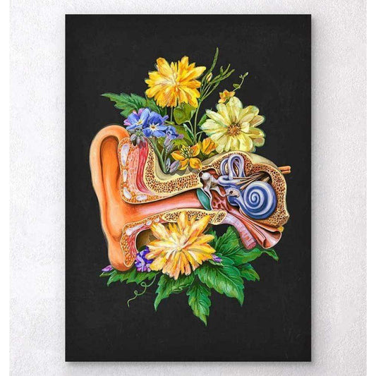 Codex Anatomicus Anatomical Print A5 Size (14.8 x 21 cm) Ear Anatomy Floral Black