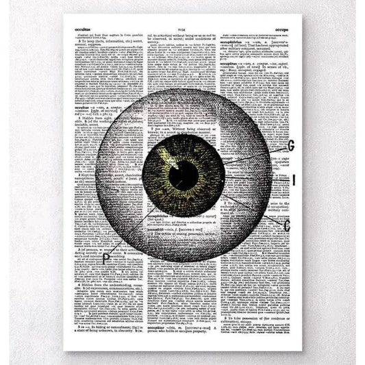 Codex Anatomicus Anatomical Print A5 Size (14.8 x 21 cm) Eye Anatomy Dictionary Page