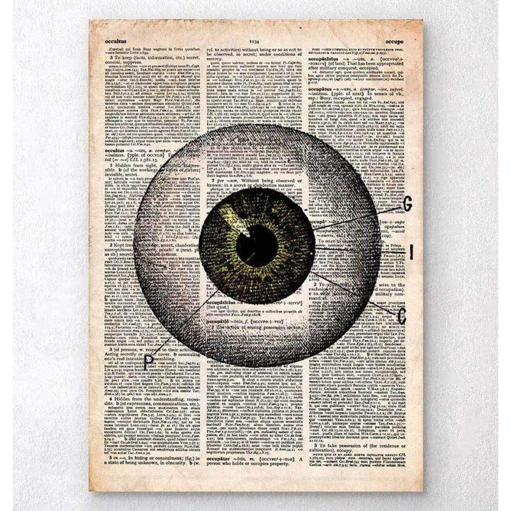 Codex Anatomicus Anatomical Print Eye Anatomy Old Dictionary Page