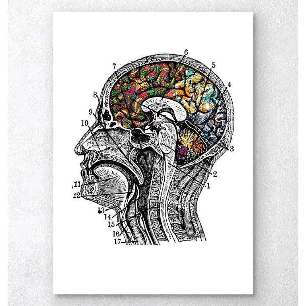 Codex Anatomicus Anatomical Print A5 Size (14.8 x 21 cm) Floral Brain Art White Background