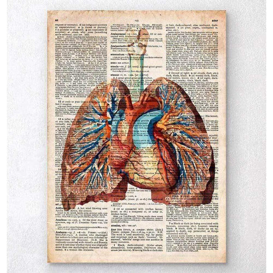 Codex Anatomicus Anatomical Print A5 Size (14.8 x 21 cm) Geometric Heart And Lungs Old Dictionary Page