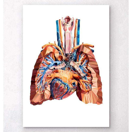 Codex Anatomicus Anatomical Print A5 Size (14.8 x 21 cm) Heart And Lungs Anatomy III