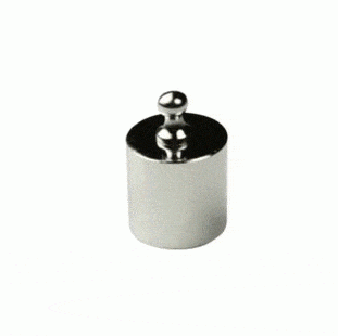 Lanter Calibration weight 100g