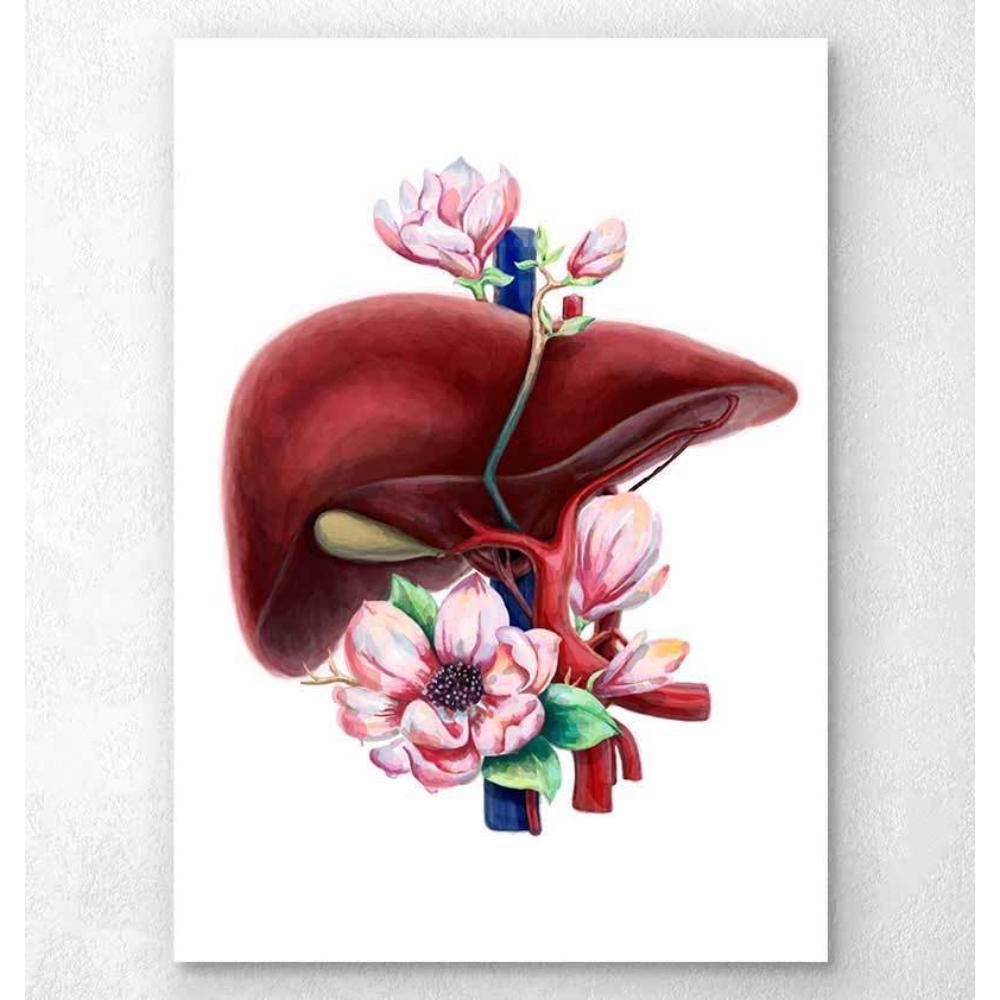 Codex Anatomicus Anatomical Print Liver Anatomy Floral White