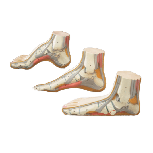 Set of Three Feet